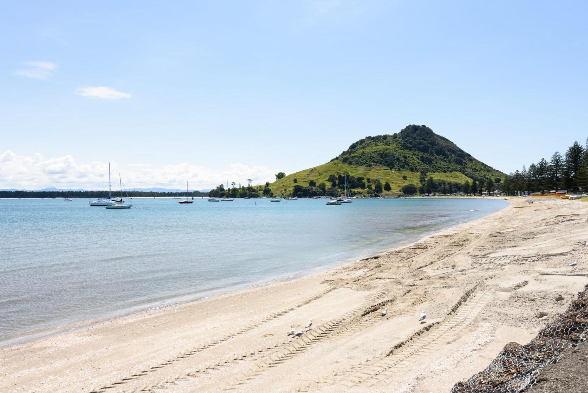 Sunny And Spacious - Moments From The Beach And Downtown マウント・マウンガヌイ エクステリア 写真