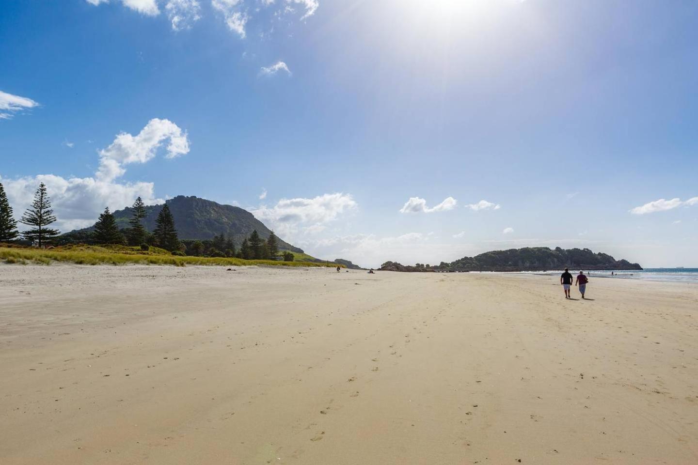 Sunny And Spacious - Moments From The Beach And Downtown マウント・マウンガヌイ エクステリア 写真